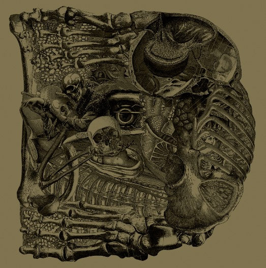 Boris / Dear 7"