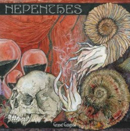 Nepenthes