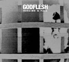Godflesh / Decline and Fall