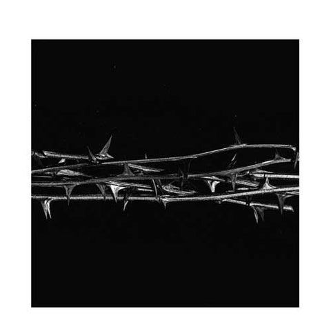 Amenra