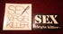 SEX VIRGIN KILLER / Logo Sticker x 2